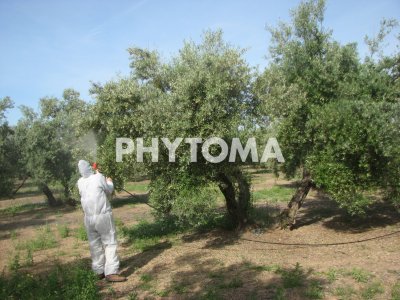 Aplicación de ensayo en olivar